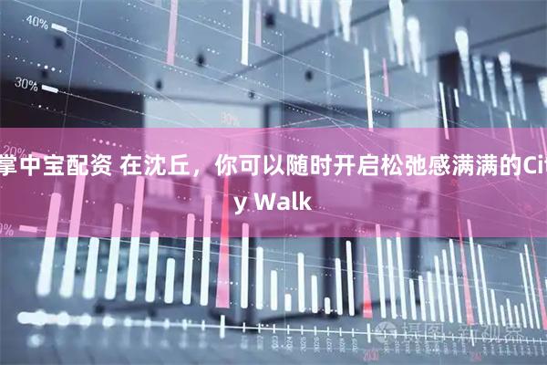 掌中宝配资 在沈丘，你可以随时开启松弛感满满的City Walk