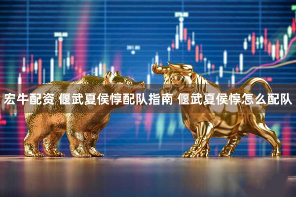宏牛配资 偃武夏侯惇配队指南 偃武夏侯惇怎么配队