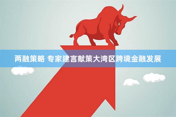 两融策略 专家建言献策大湾区跨境金融发展